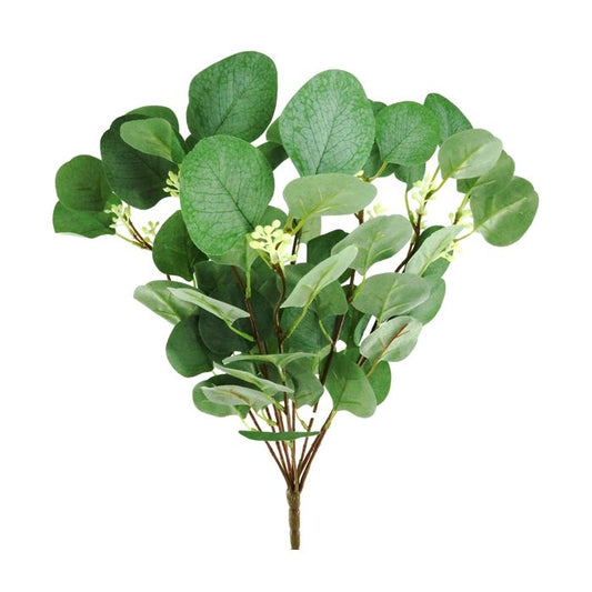 Seeded Eucalyptus