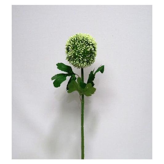 Snowball Stem