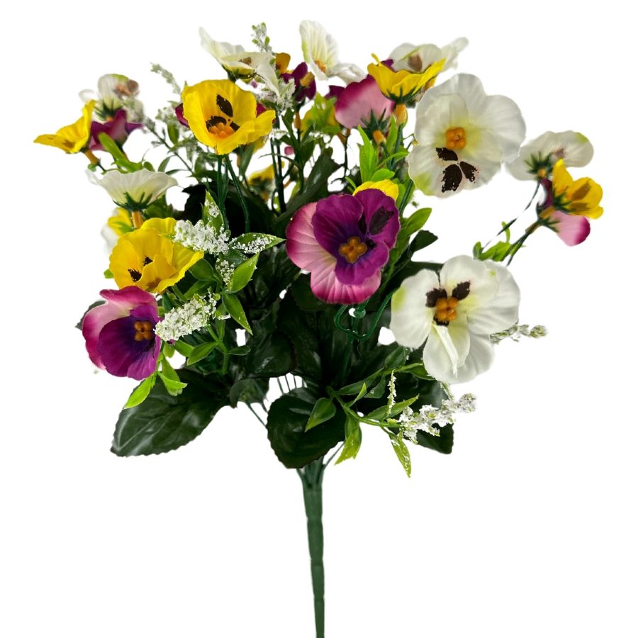 Pansy Bush
