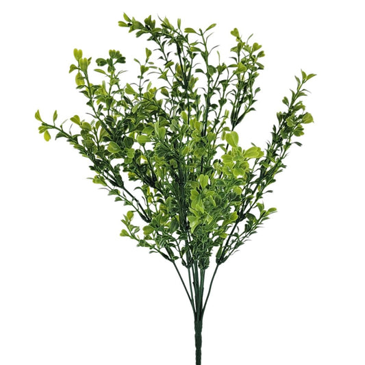 Pea Bush