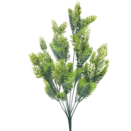 Hobbs Bush