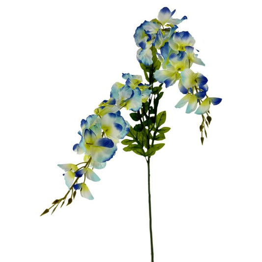 Wisteria Stem