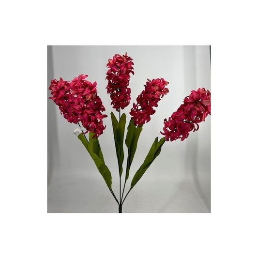 Hyacinth