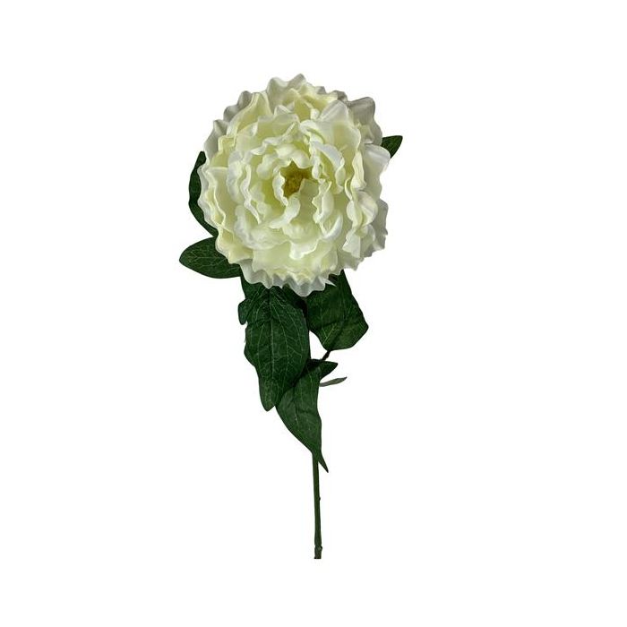 Peony Stem