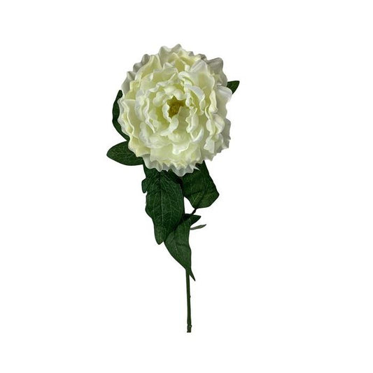 Peony Stem