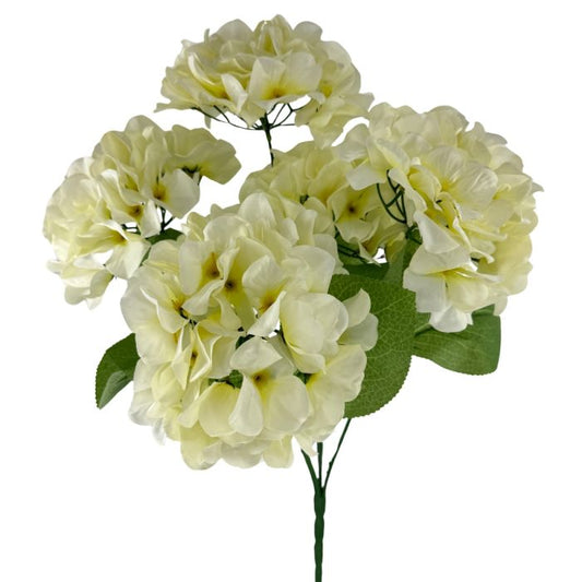 Hydrangea Bush