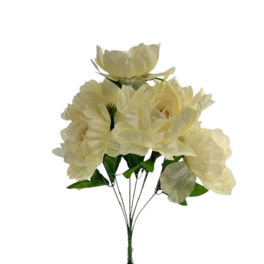 Peony Head