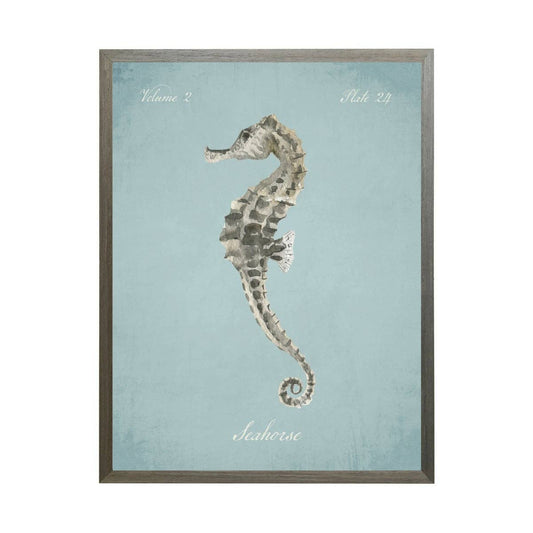 Sea Horse On Spa Background: Grey Frame 2400-55 Zu / 8" X 10"