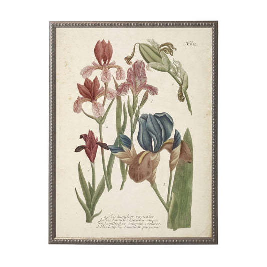 Vintage flower F bookplate on distressed background: Beaded Silver Frame 6865 Bs / 8" X 10"