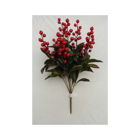 Berry Bush