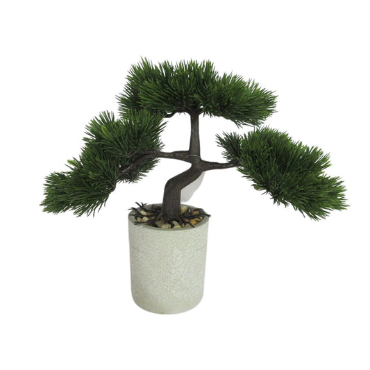 Bonsai Tree 10 inch